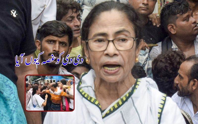 کولکاتامیں احتجاجی مارچ کے دوران ممتا  کو کیوں آیا غصہ؟ پارٹی کارکن کو رسید کیا تھپڑ